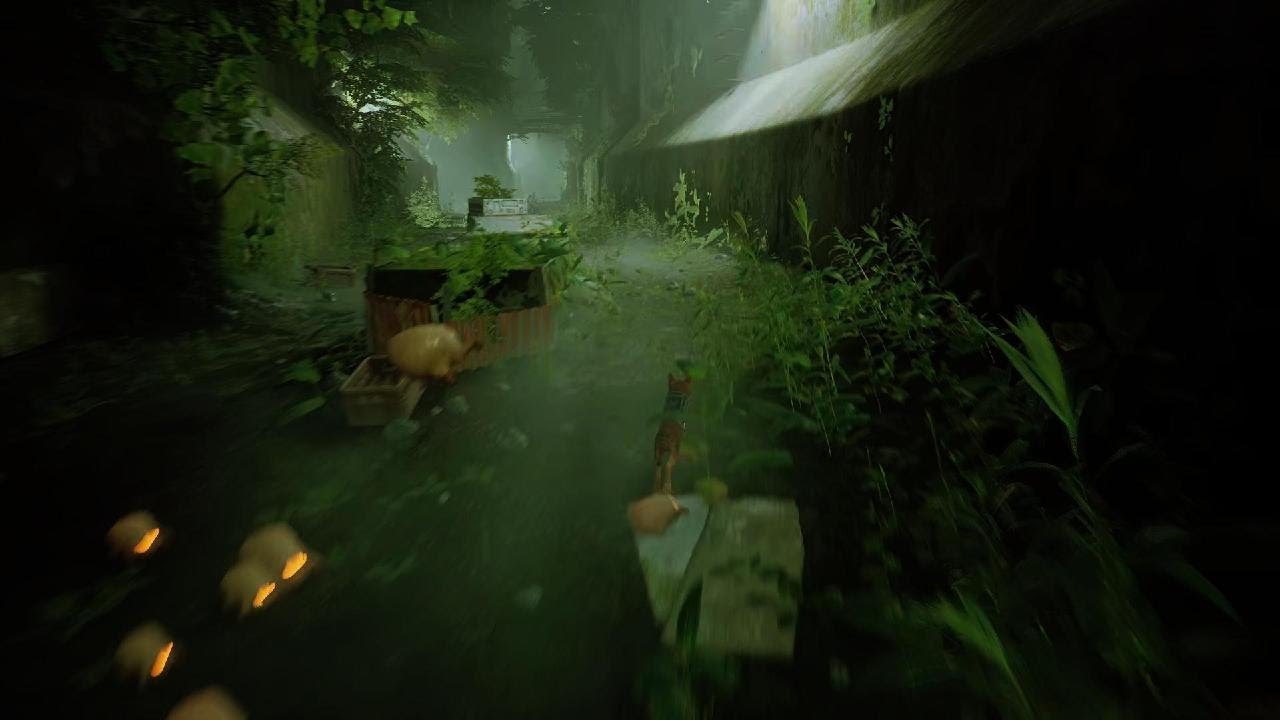 Stray Has The Best Parkour