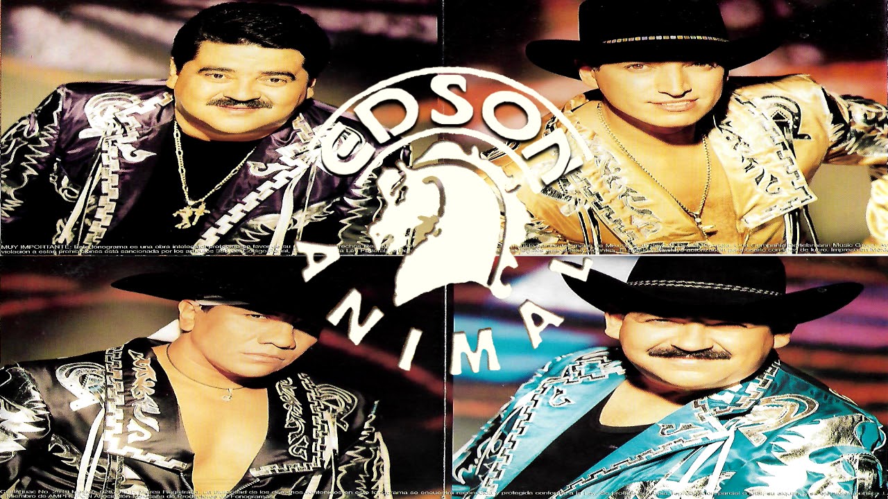 Bronco, traicion a la mexicana, el llanto me esta mojando, todo por ti, concierto de besos