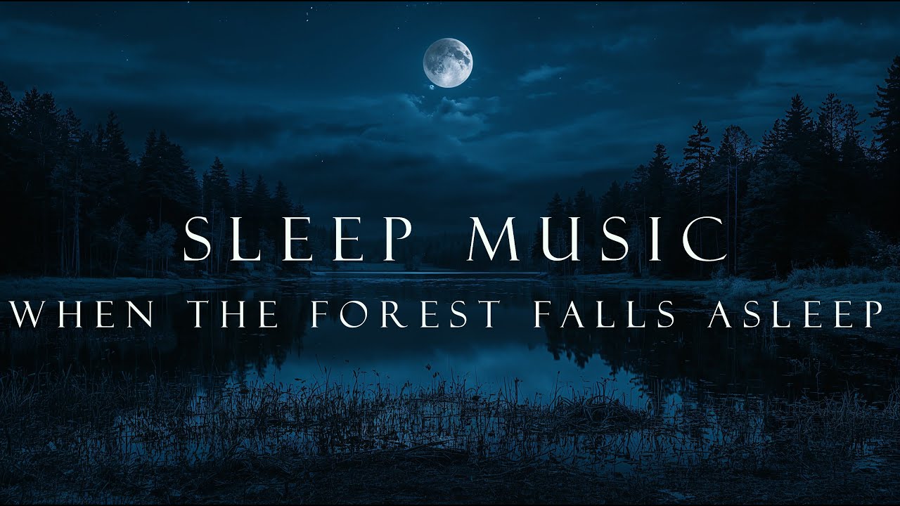 Sleep Music (3 Hours) | A Quiet Forest Night 🌙 Deep Sleep & Peace🌲