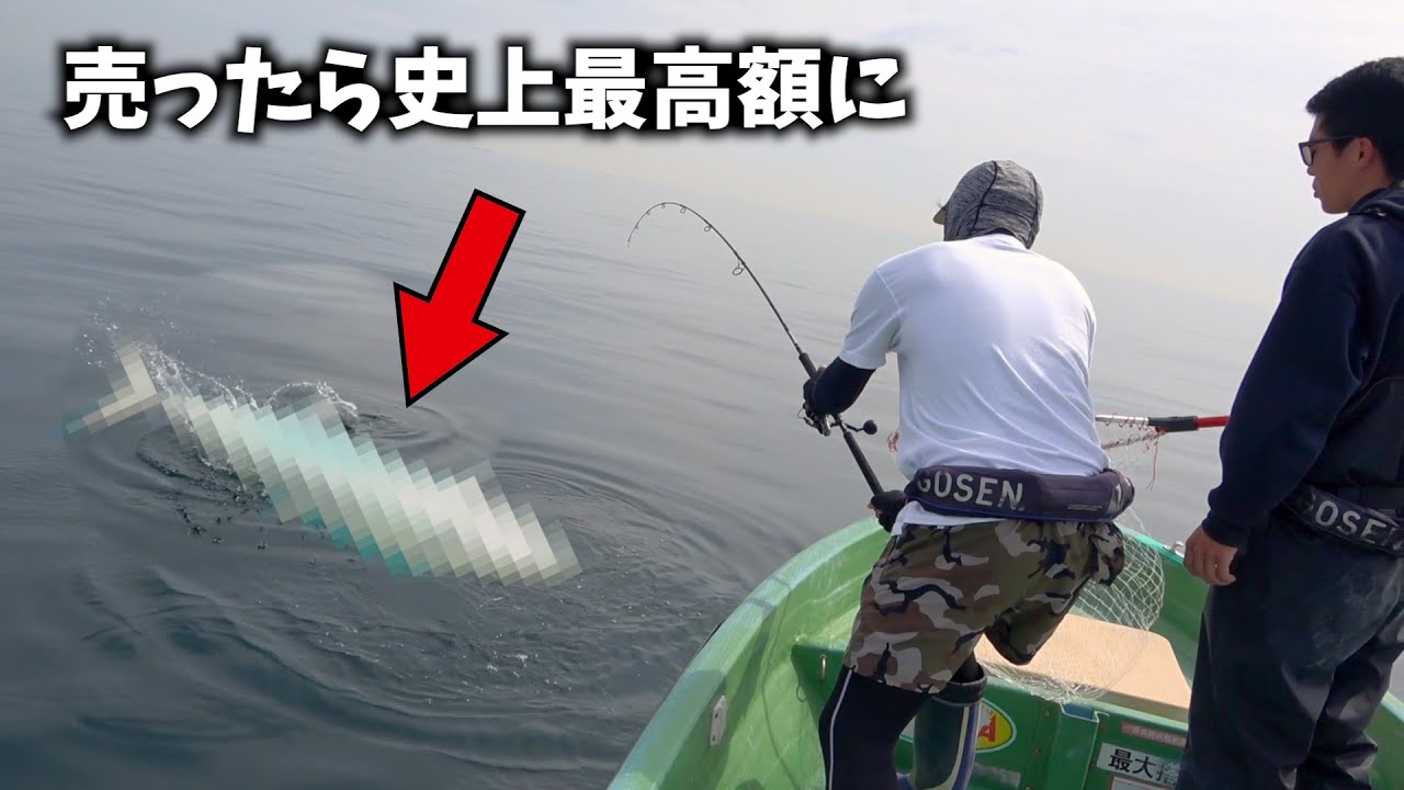 今の時期だけ浅瀬に巨大魚の群れ到来！売ったら驚愕の値段に！？