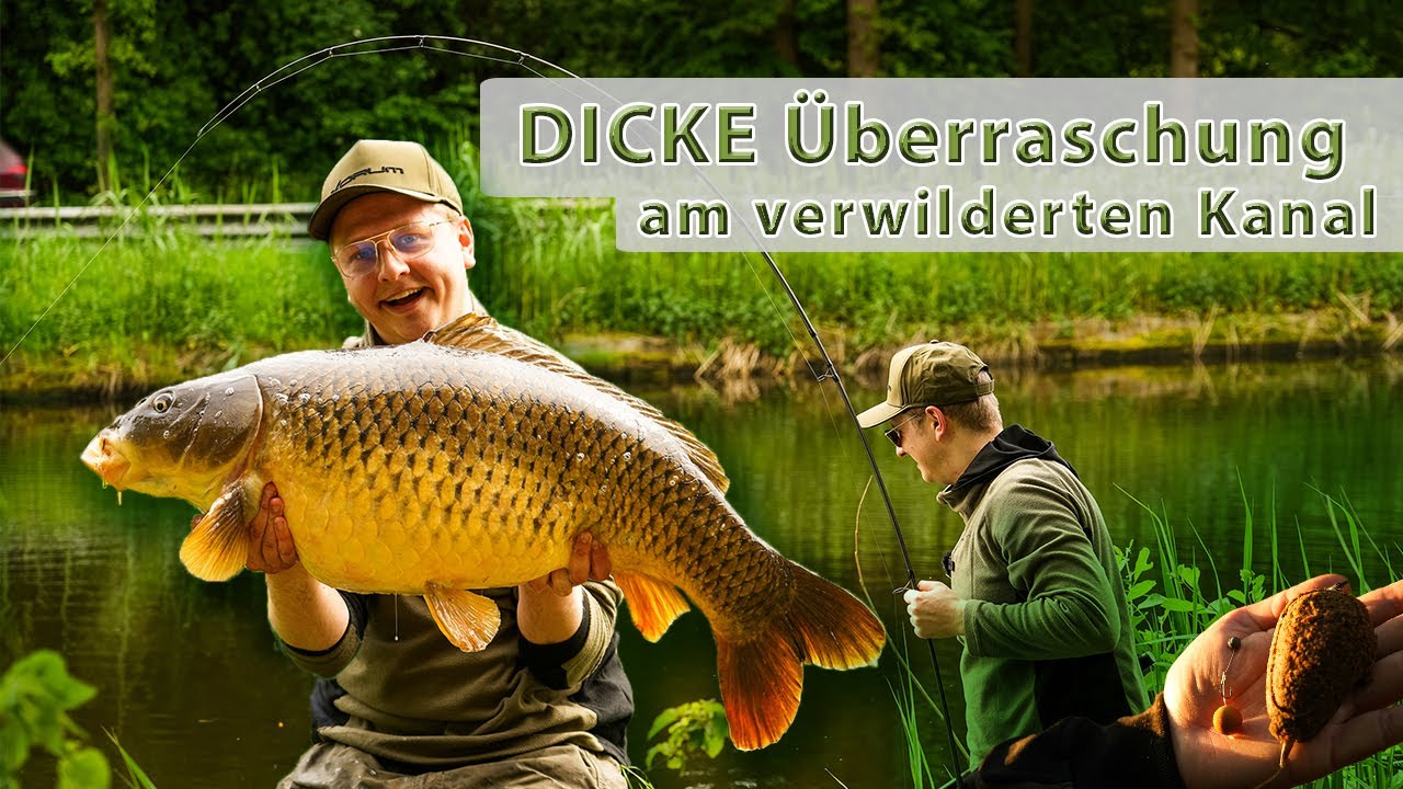 Dicke Uberraschung - am verwilderten Kanal #korum #germany #karpfenangeln