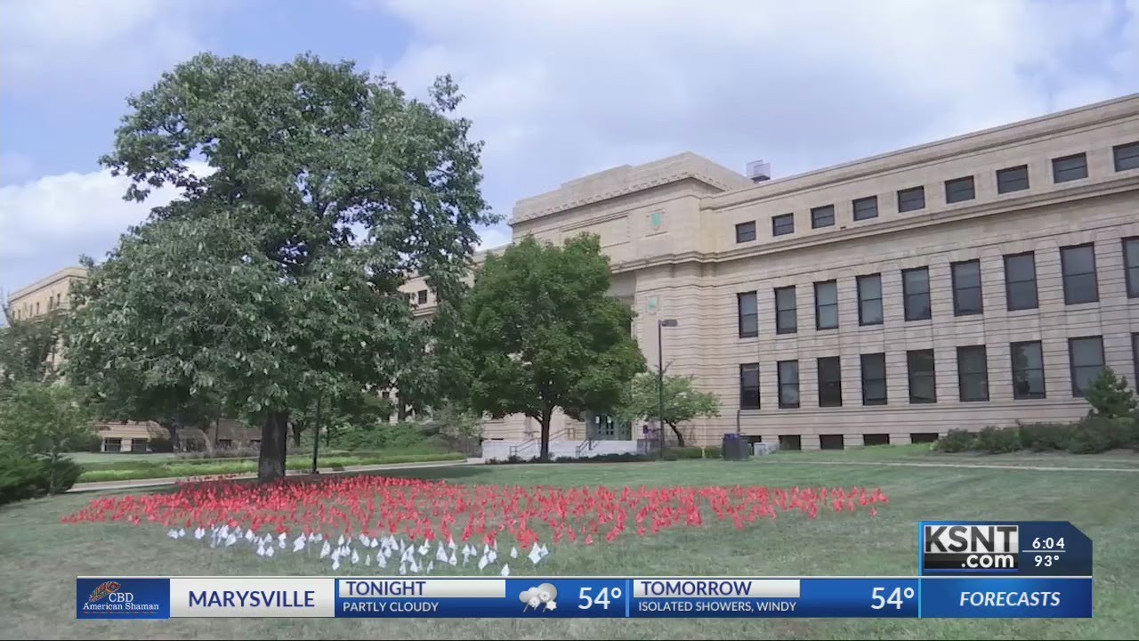 KU students go on strike, place over a thousand flags on campus