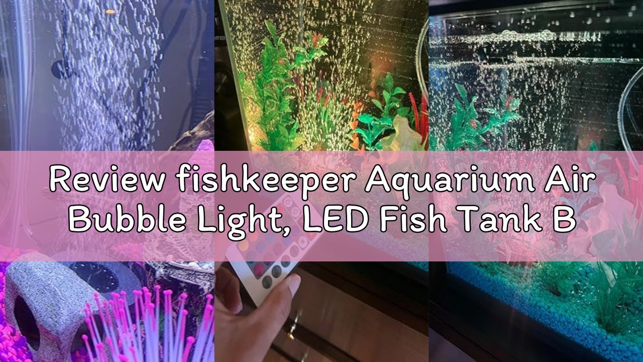 Review fishkeeper Aquarium Air Bubble Light, LED Fish Tank Bubbler Stone Disk with 11 Super Bright L