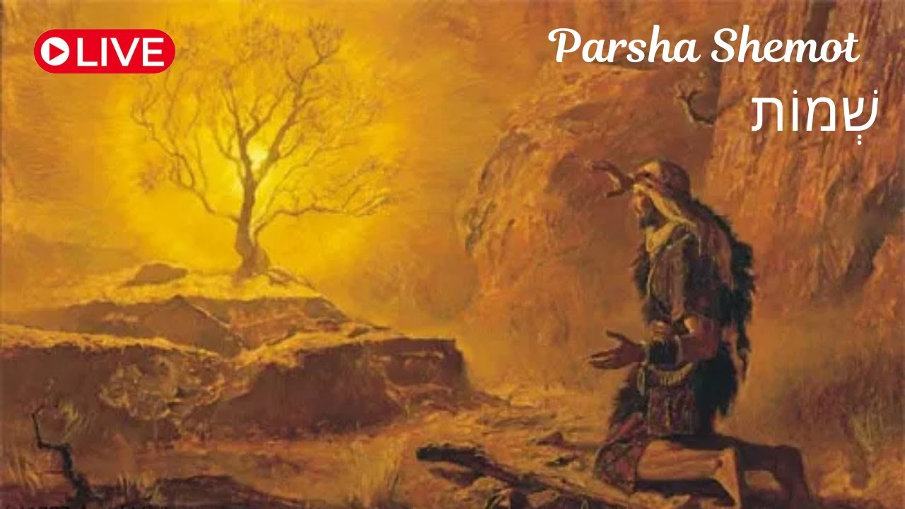 Messianic Shabbat Torah Study- Shemot - 5786/2026 - Light of the Menorah