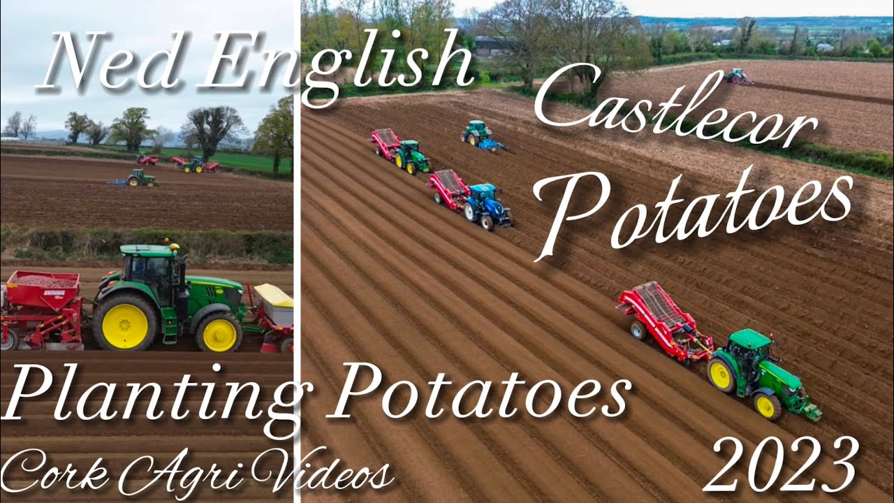 Ned English ~ Planting Potatoes 2023