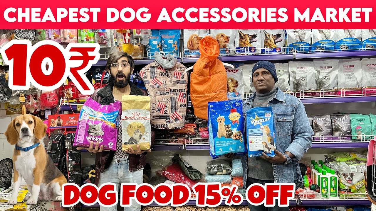 Cheapest Dog Food & Accessories Market in Delhi | Wholesale & Retail | Starting Rs 10 | 15-25% Off