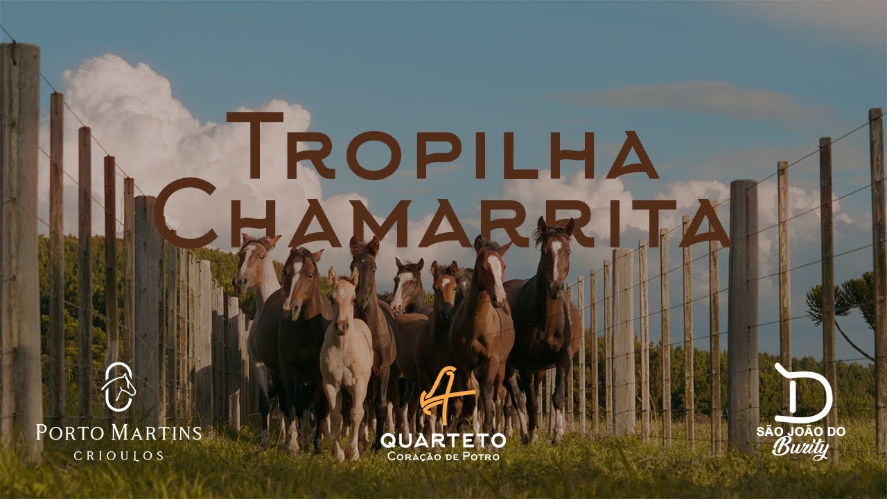 Quarteto Coração de Potro - Tropilha Chamarrita