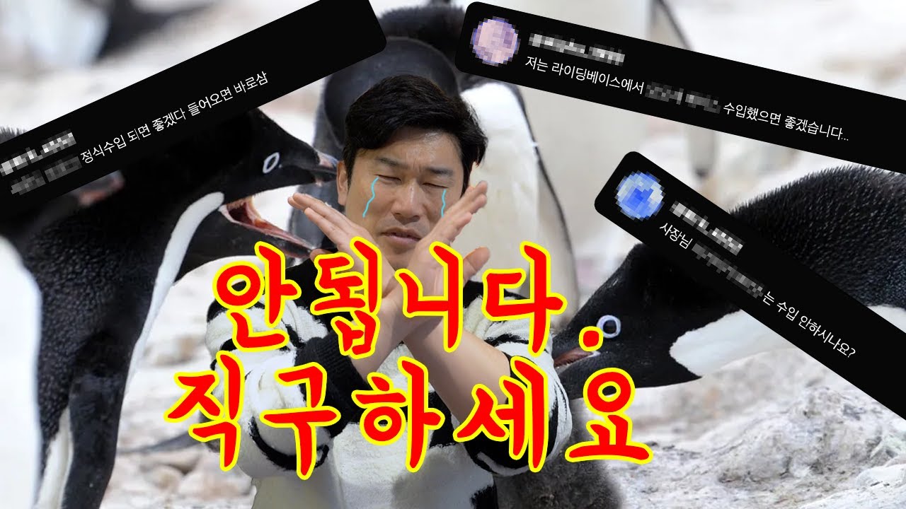 당신이 원하는 이펙터가 수입 안되는 이유 1편