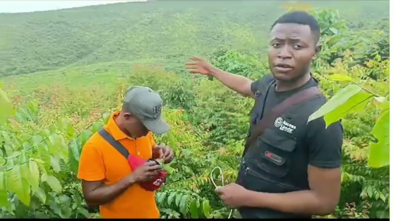 3800 hectares disponibles à Kasangulu avant le péage. Prix entre 1200 & 1800$ à discuter avec docs !