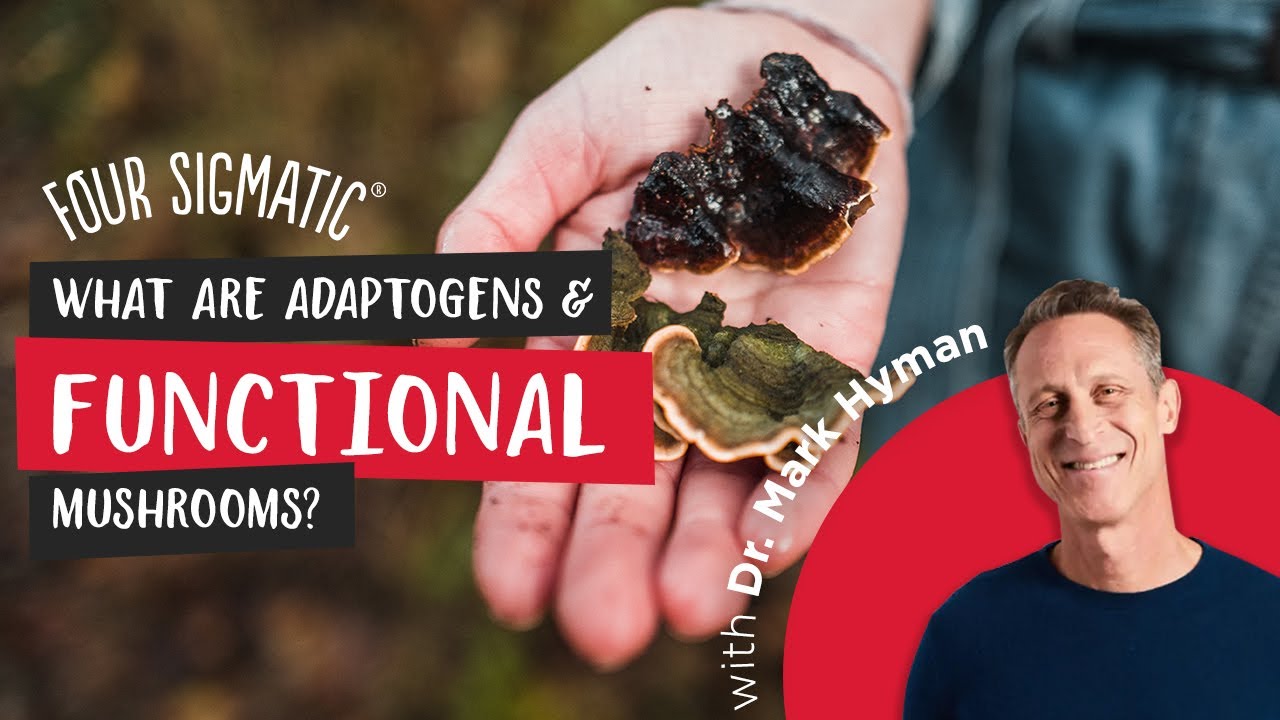 What are adaptogens and functional mushrooms? | Dr. Mark Hyman’s Solutions to Modern Day Challenges