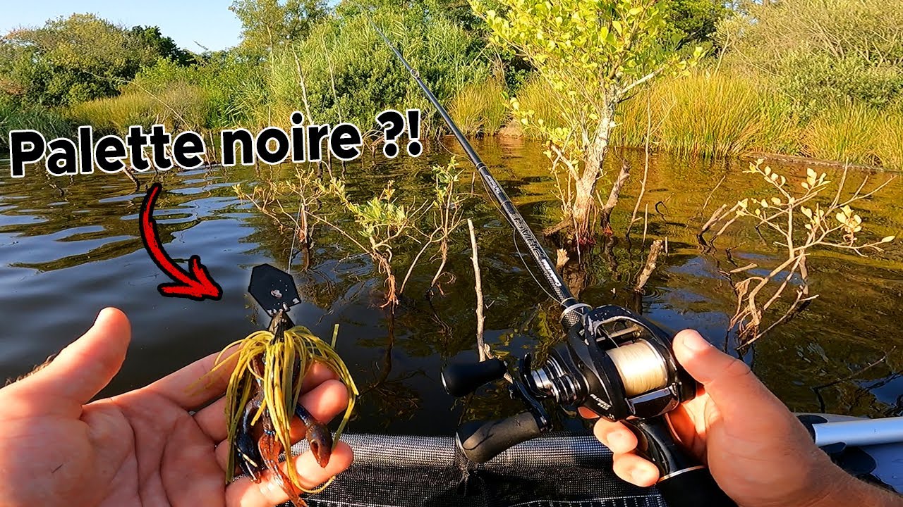 Ces leurres sont particuliers mais ils prennent de gros poissons !