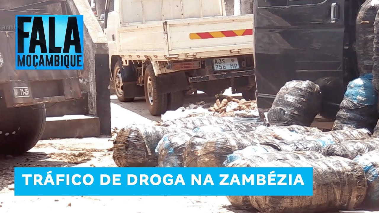 Na Zambézia: PRM apreende 230 kg de suruma e detém dois jovens envolvidos em Mocuba