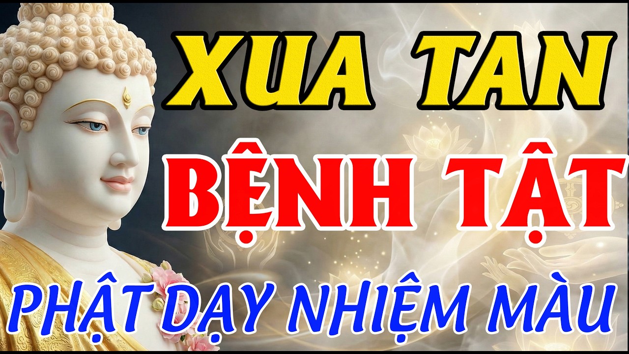 15 Phút Nghe Là Ngủ Ngay: Lời Phật Dạy Nhiệm Màu Giúp Tâm Tịnh, Xua Tan Bệnh Tật