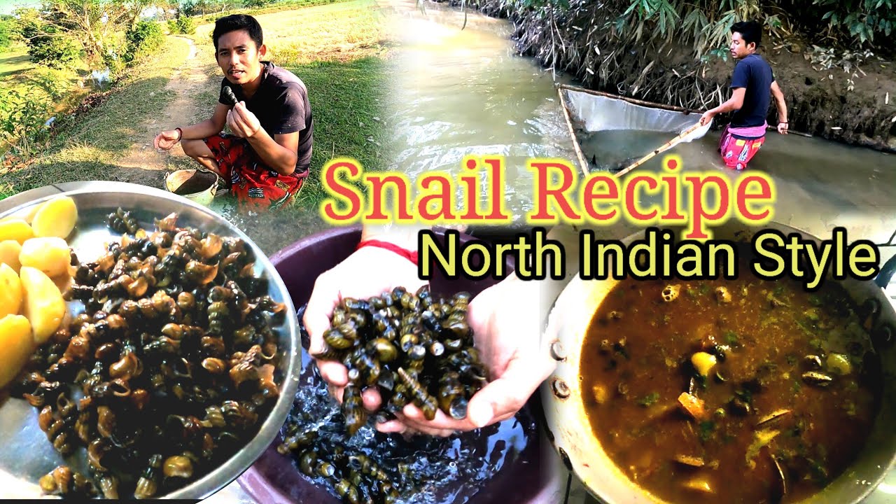 Hunting Snails in the River | Snails Recipe | Traditional cooking and eating in North Indian style