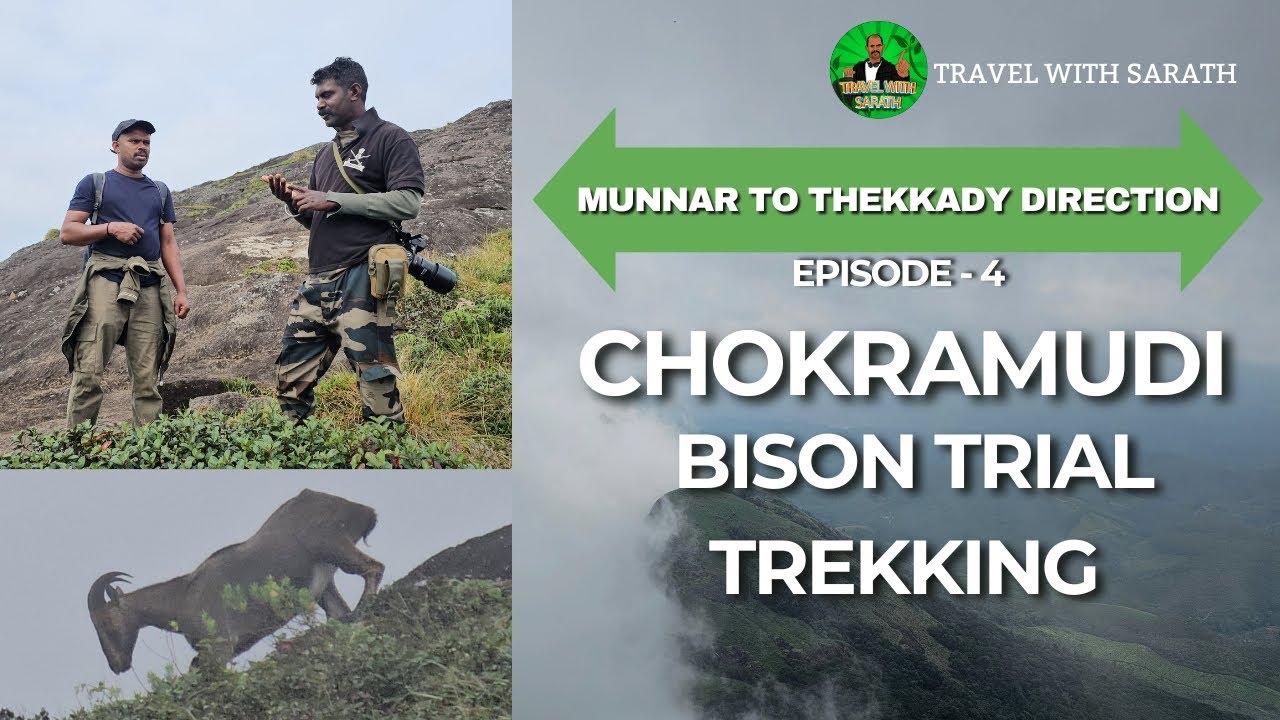 MUNNAR TO THEKKADY DIRECTION EPISODE 4 | CHOKRAMUDI BISON TRIAL TREKKING