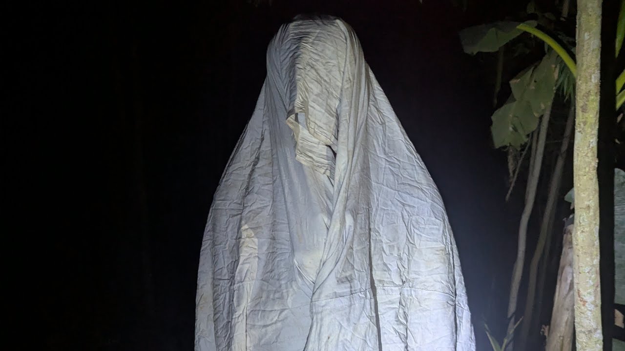 ভূত দেখতে কেমন লাগে