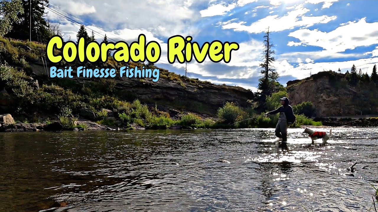 Bait Finesse Fishing Adventure & Gear Showcase | Colorado River Adventure 🎣🏞️
