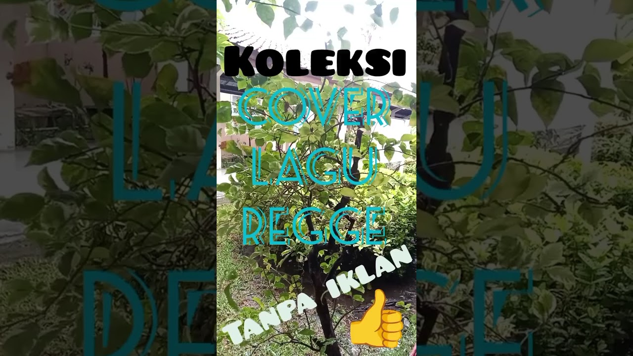 KOLEKSI COVER LAGU REGGE TANPA IKLAN