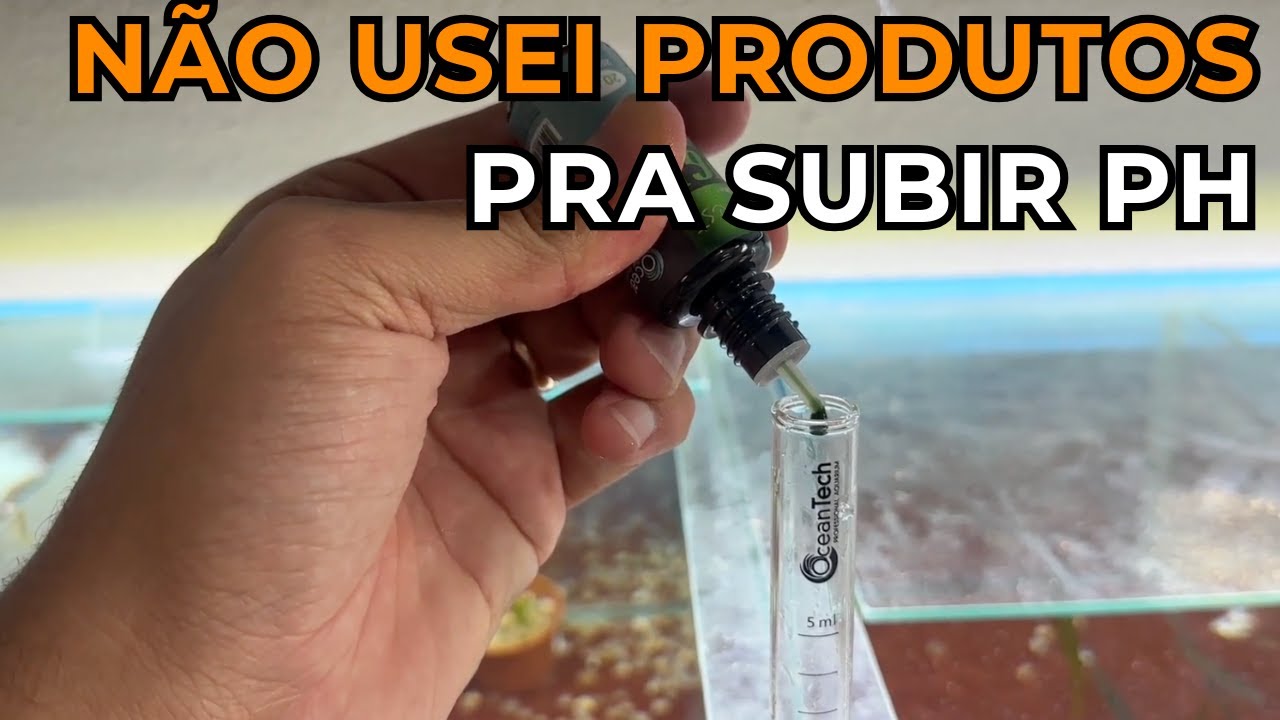 COMO AUMENTAR O PH DO AQUARIO SEM USAR PRODUTOS PARA SUBIR PH DA AGUA