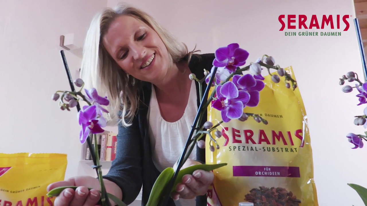 Das SERAMIS-System: Hier blühen Orchideen auf