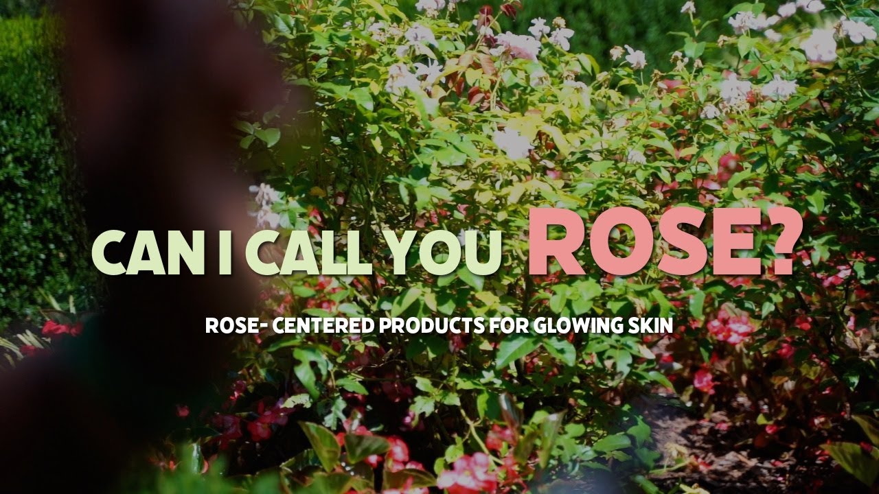 Can I Call You Rose!? | Rose-Centered products for Glowing Skin
