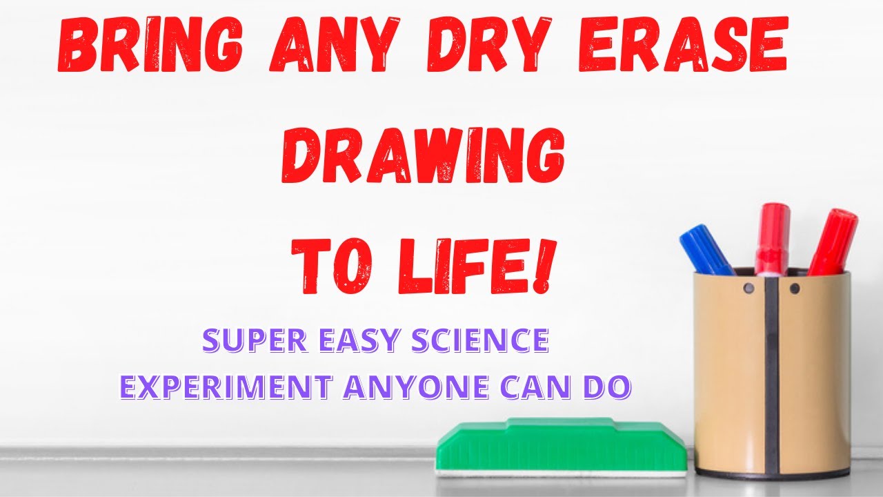 Bring Any Dry Erase Drawing To Life Science Experiment