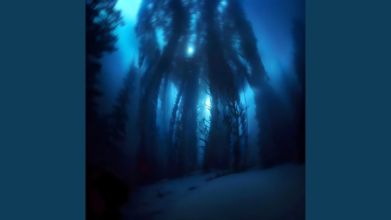 Shadows