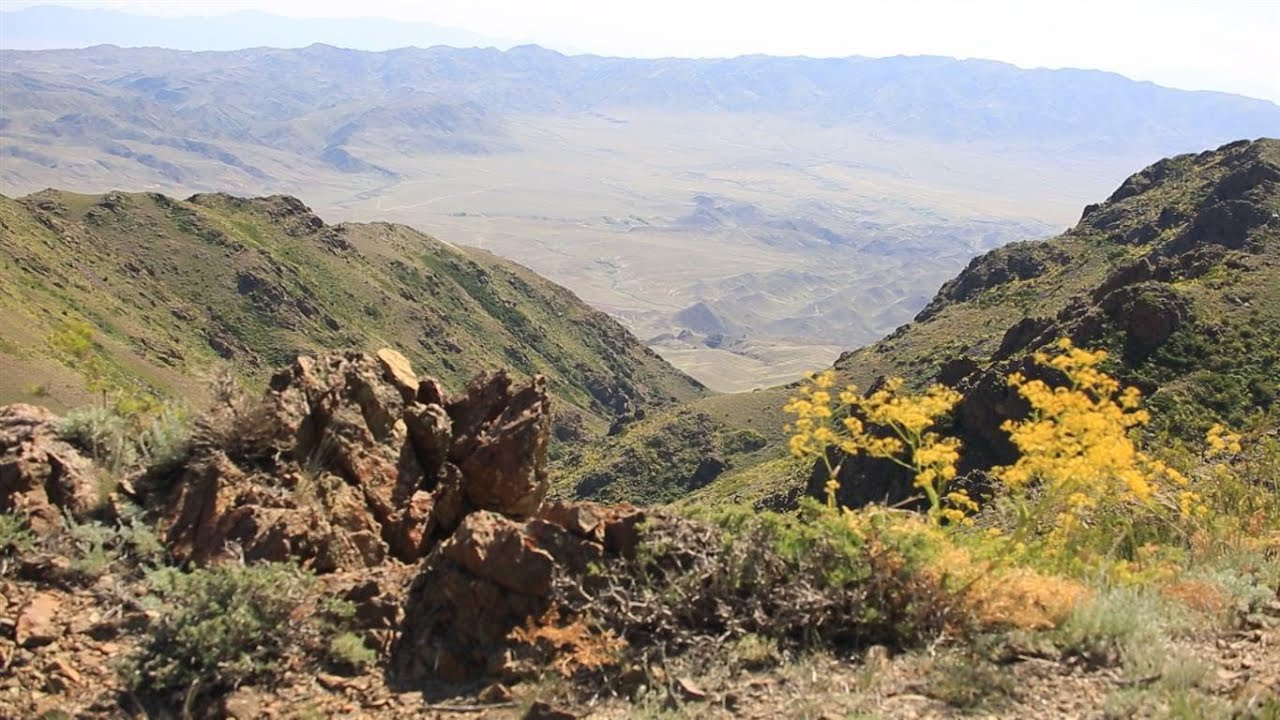 Заповедники Казахстана. Алтын Емель раскрывает тайны