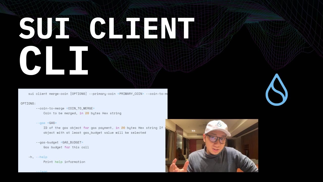 Setting Up A Sui Client CLI [Command Line Interface] | Become a Blockchain Developer in Weeks!