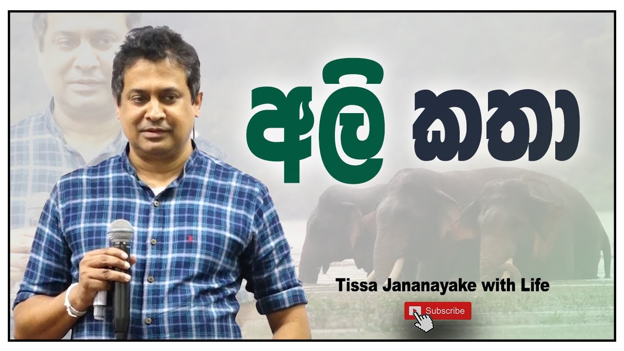මින්නේරියේ අලි කතාව | Tissa Jananayake with Life (EP 146)