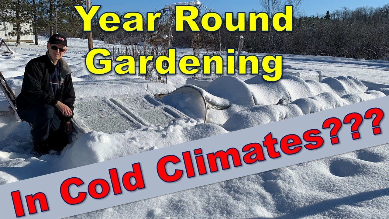 WINTER GARDENING IN ZONE 3 -- Is it really feasible?