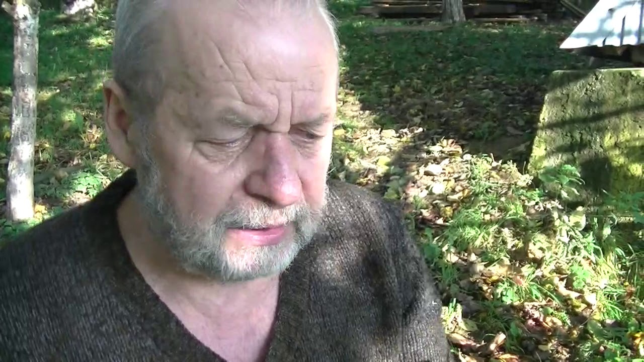 Kocimiętka