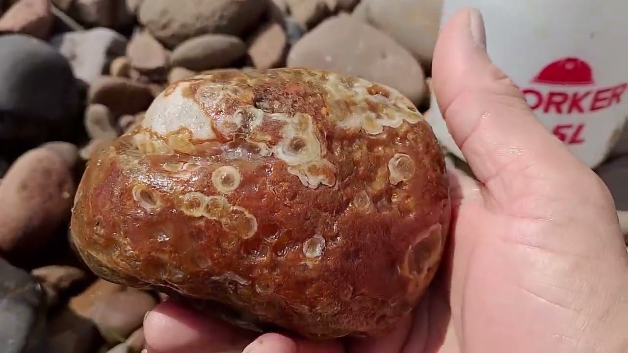 Nossa busca não para.