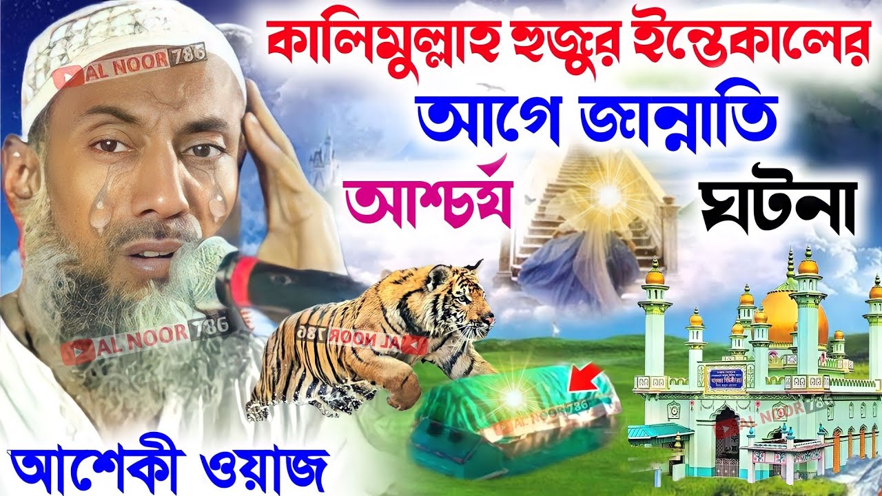 তাহের সিদ্দিকী ওয়াজ┇কালিমুল্লাহ হুজুর ইন্তেকালের আগে জান্নাতি┇আশ্চর্য ঘটনা┇পীর তাহের সিদ্দিকী Waz