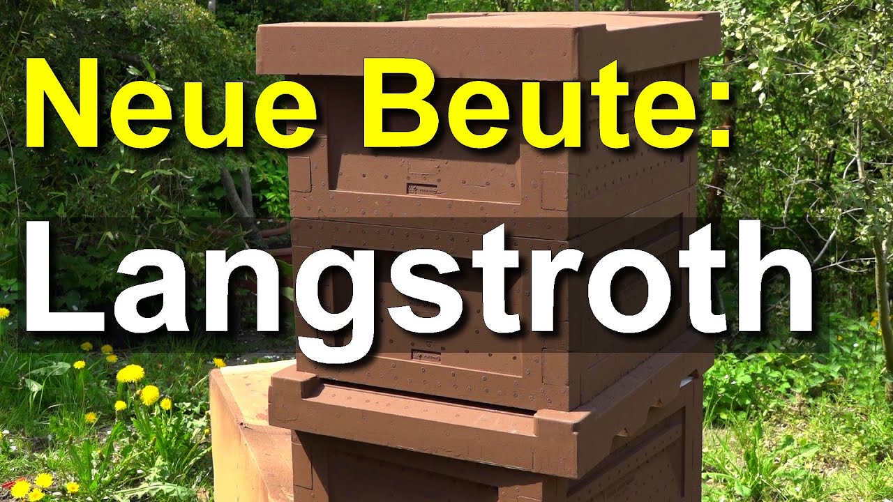 Die beste Langstroth-Beute? Neu-Vorstellung der Combi-Beute aus Kiel