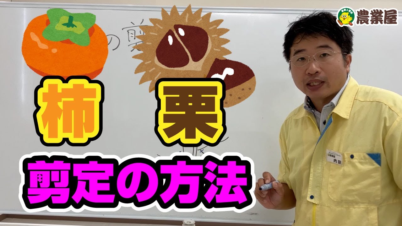 カキとクリの剪定方法を解説します！ #柿 #栗 ＃剪定 #初心者向け