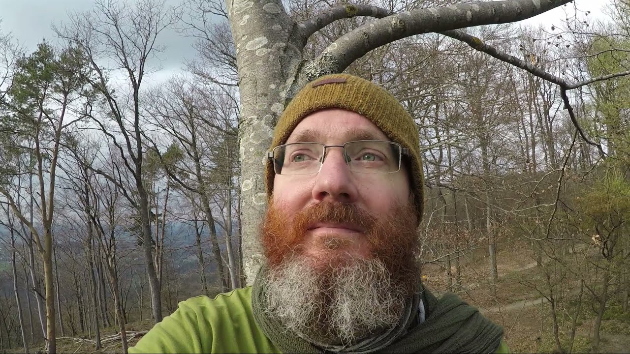 Climbing a beech in the woods / Single and double rope technic