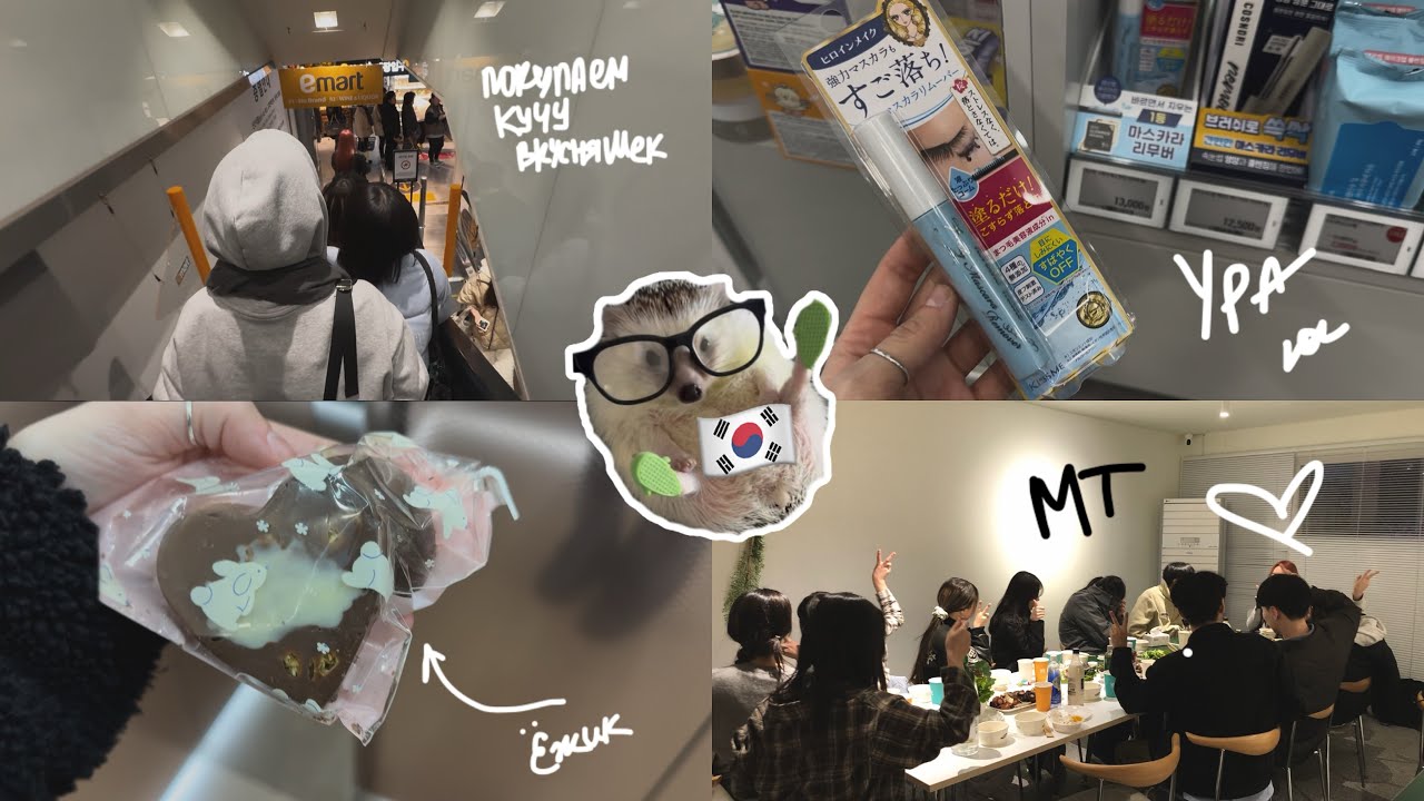KOREA VLOG DIARY|покрасила волосы (результат)/ищу водку для учителя/ кусочки нашего MT|29-31.03.2025