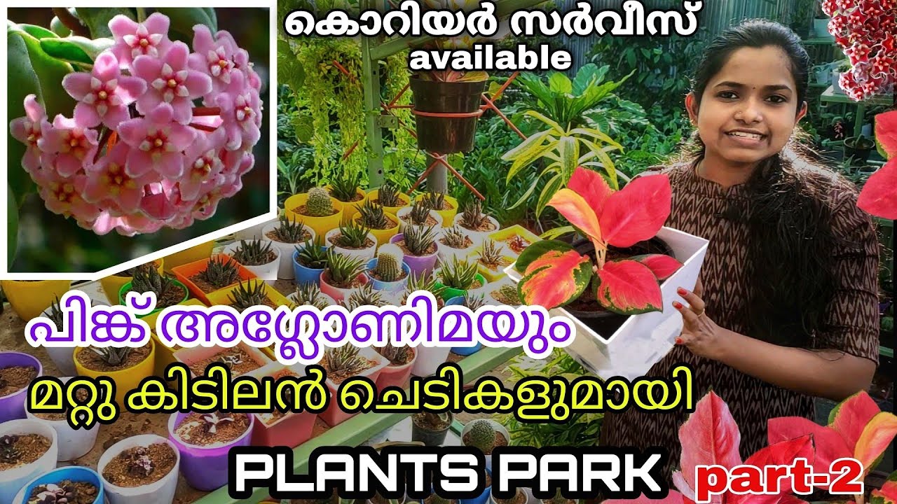 INDOOR & OUTDOOR PLANTS GARDEN VISIT KERALA | PLANT'S PARK PART 2 | EDAKULAM P.O | IRINJALAKUDA