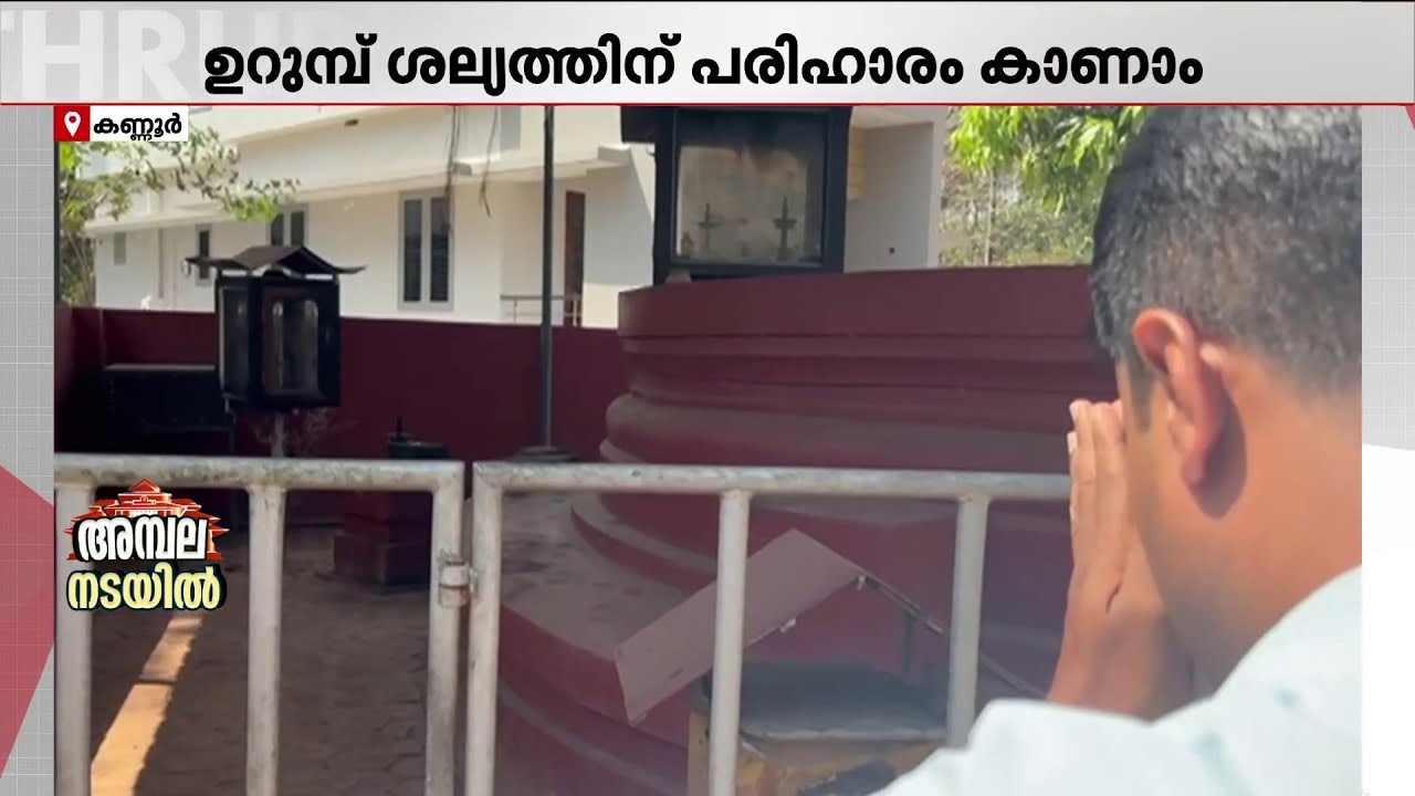 ഉറുമ്പ് ശല്യത്തിന് പരിഹാരം കാണാൻ ഇവിടെ വന്നാൽ മതി; ഉറുമ്പുകളെ ആരാധിക്കുന്ന ക്ഷേത്രം