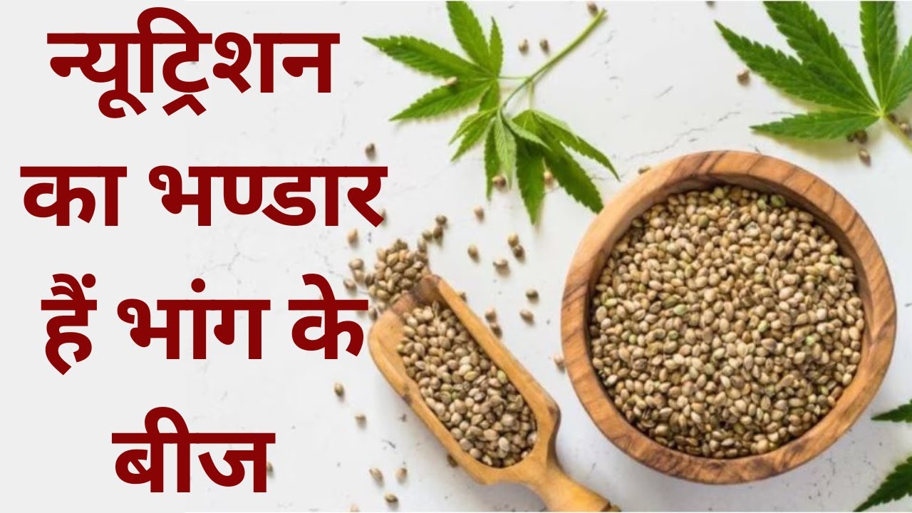 भांग के बीज डाइट में शामिल करें और फिर देखें फायदे : Hemp Seeds Health Benefits | Jeevan Kosh