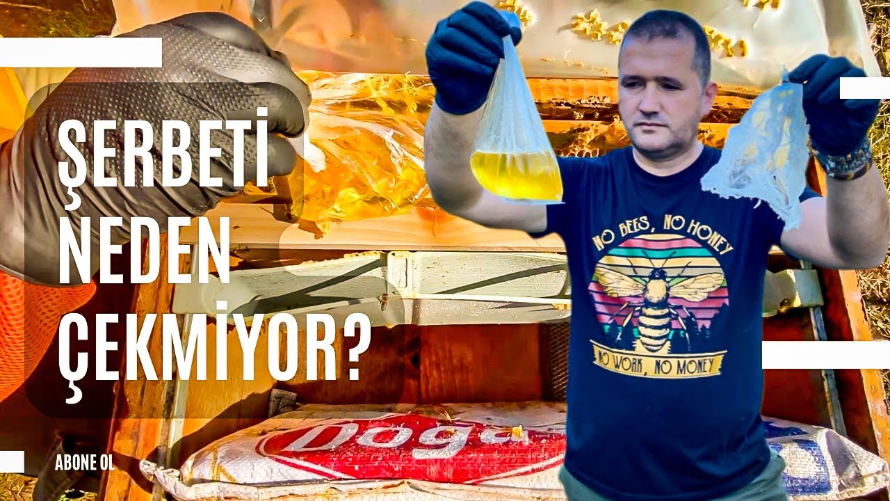 Arılar Şerbeti Neden &Ccedil;ekmez? | Arıcılık