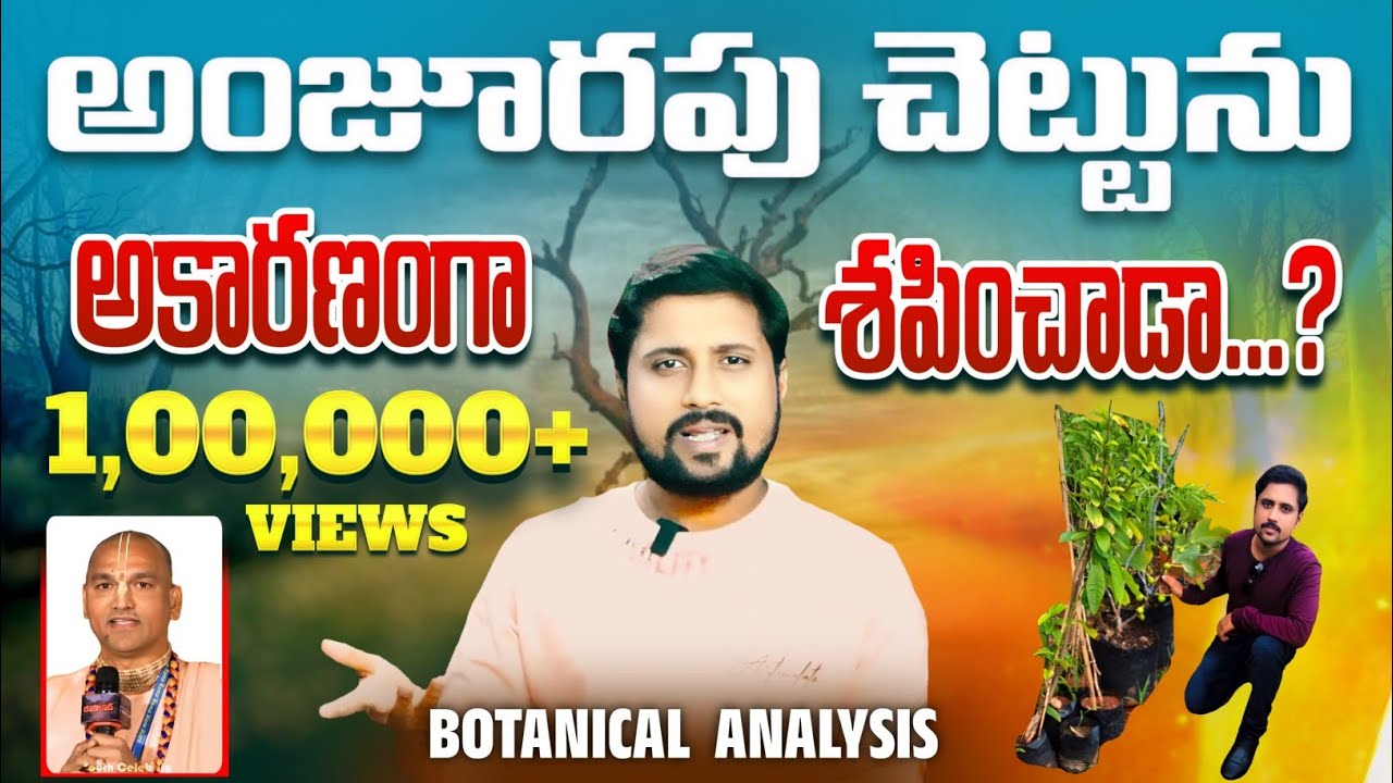 యేసు 