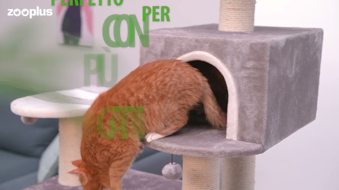 Tiragraffi Casetta di pan di zenzero XXL con scala