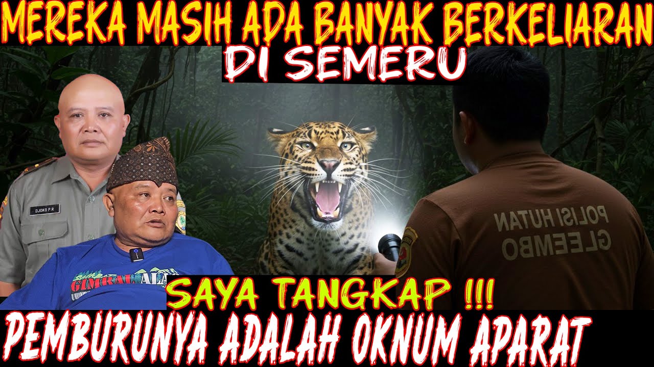 KISAH POLISI HUTAN: MACAN GUNUNG BROMO  SEMERU MASIH ADA. SAYANG DIBURU OKNUM APARAT SENDIRI🙏🏻