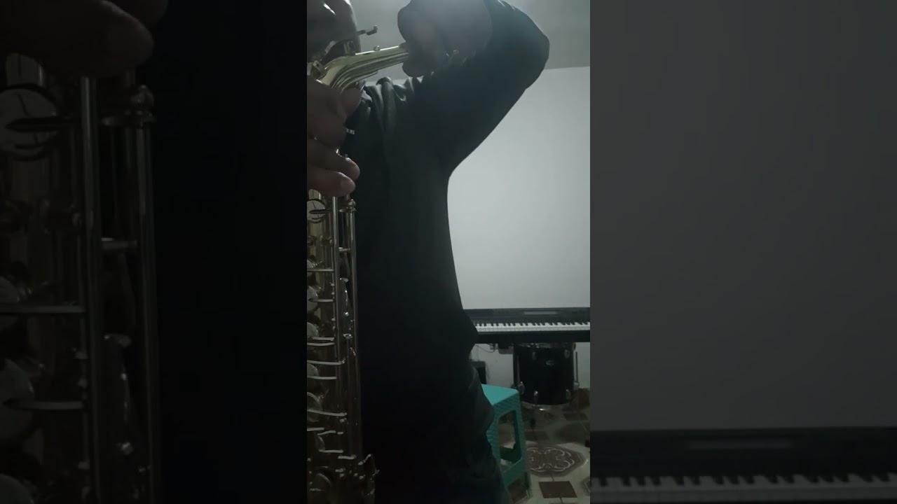 saxophone alto yamaha yas 21 ver saxophone alto yamaha yas 23 cual es mejor