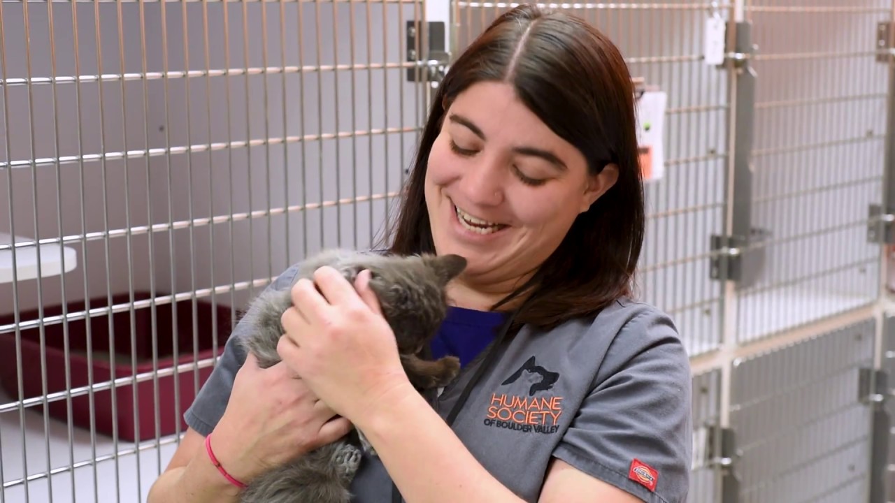 Colorado Gives Day 2017: Save Lives