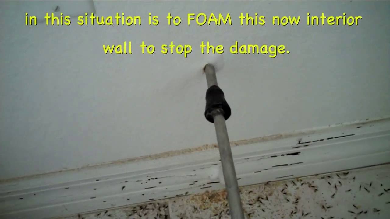 Foaming for termites