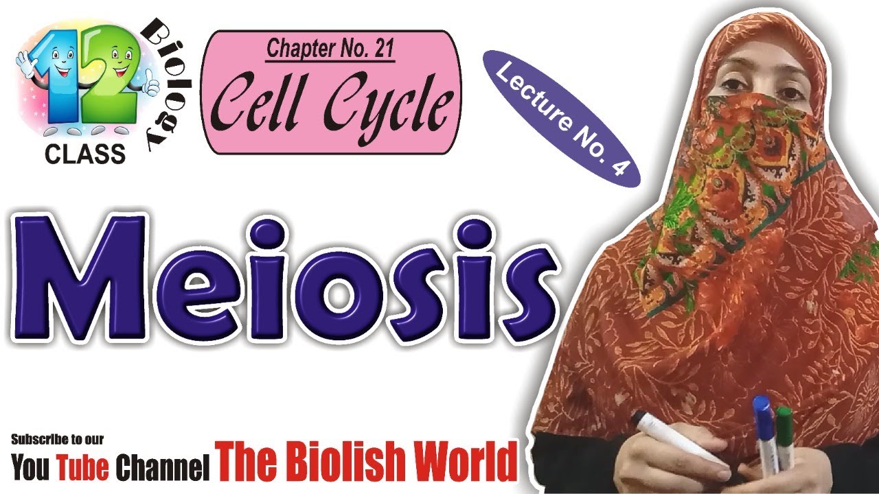 Meiosis | F.Sc 2nd Year | Biology | @thebiolishworld