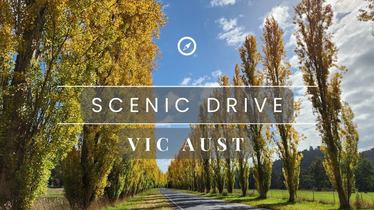 Scenic Drive in Eastern Region of Victoria, Australia |  Food . VLOG . Travel .